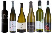 Výběrová degustační kolekce vín listopad 2023