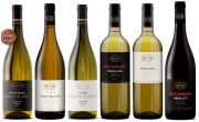 Výběrová kolekce vinařství roku REISTEN
